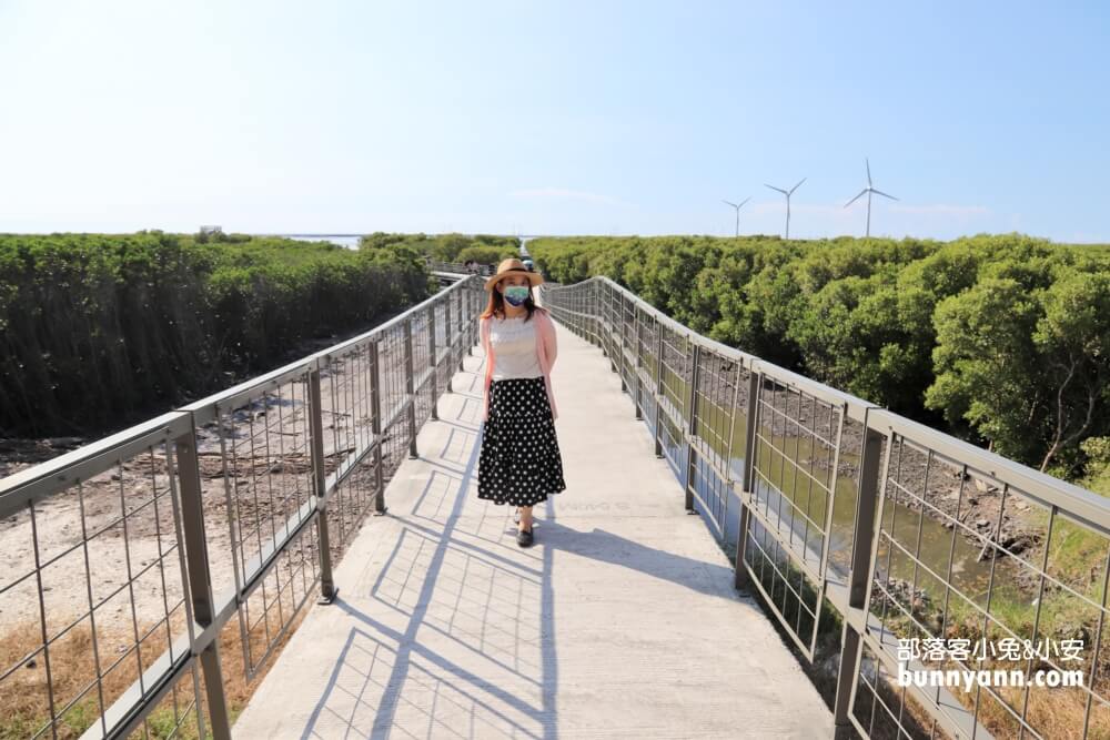 彰化芳苑海空步道，漫步紅樹林潮間帶，停車資訊分享