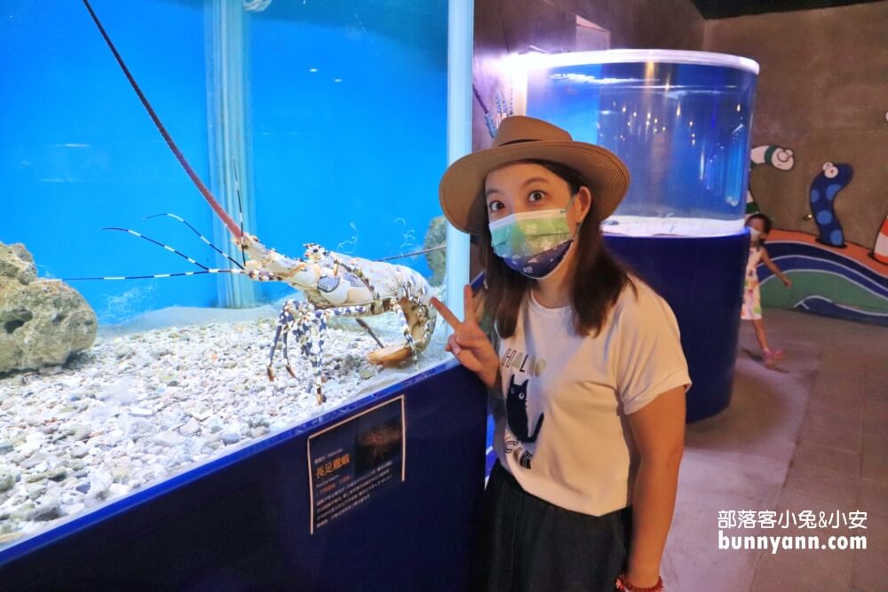 小琉球海洋館門票介紹，海星觸摸池體驗真的好好玩!!