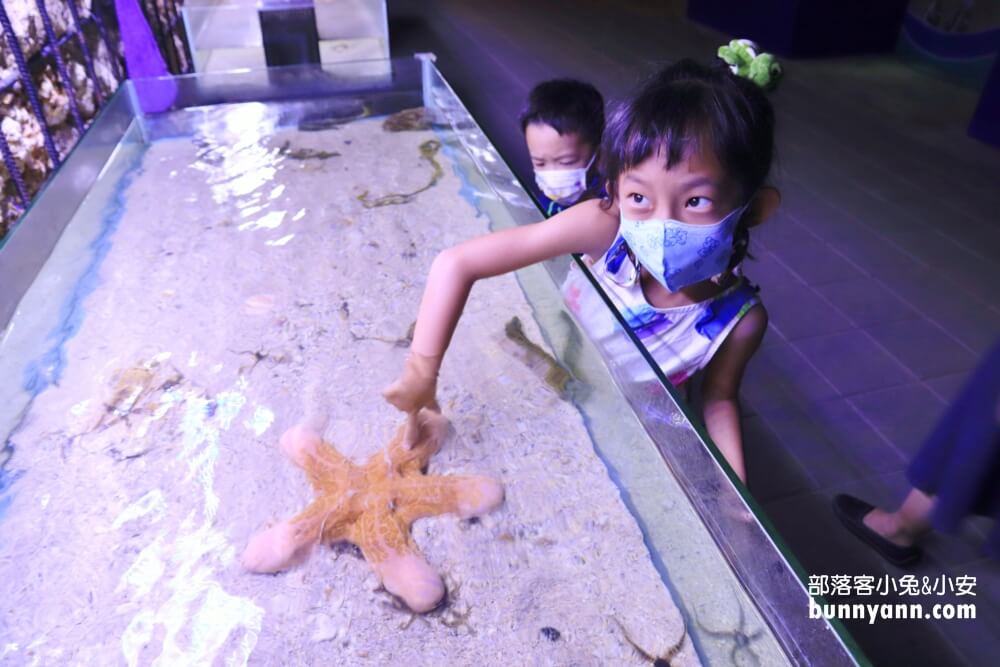 小琉球海洋館，神奇海螺聽海，門票介紹&海星觸摸池體驗