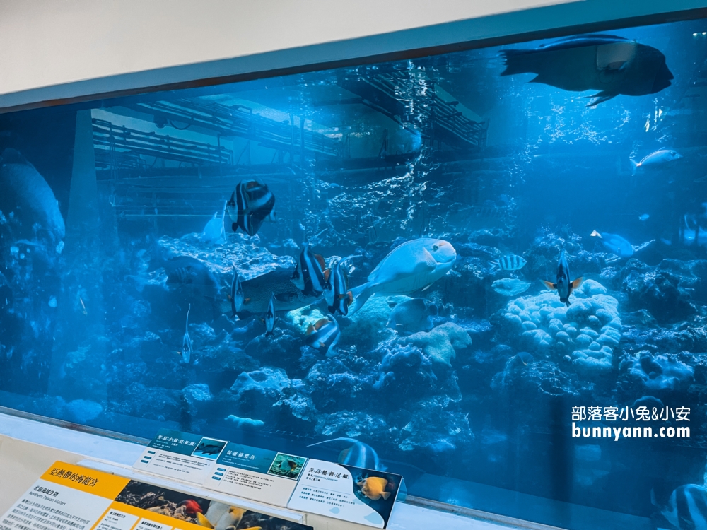 2024基隆【潮境智能海洋館】最強室內水族館，門票優惠觀光指南