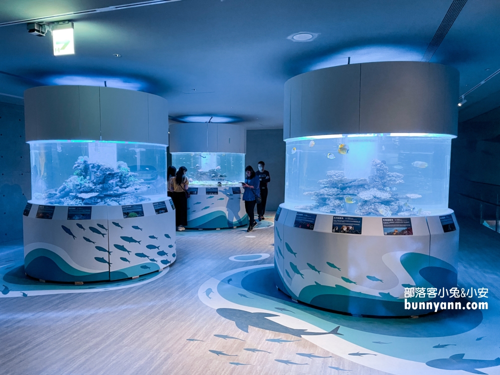 2024基隆【潮境智能海洋館】最強室內水族館，門票優惠觀光指南