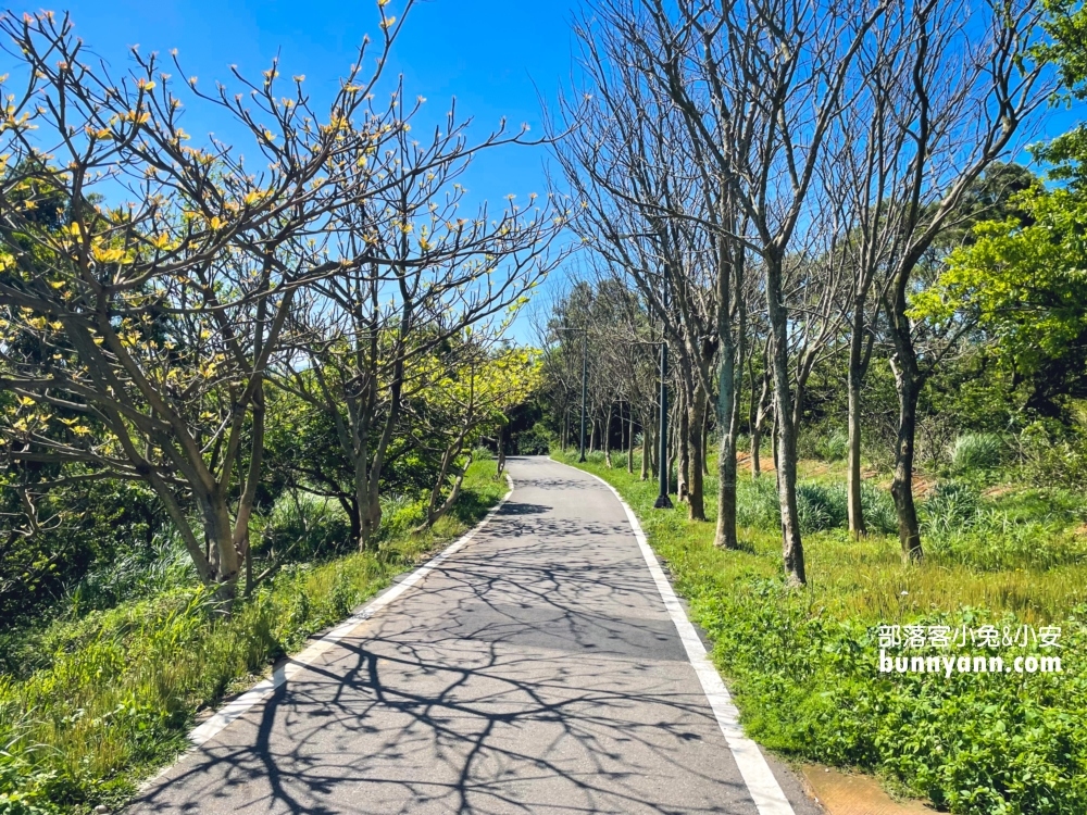 【新竹青青草原】暢遊磨石子溜滑梯，園區地圖路線攻略