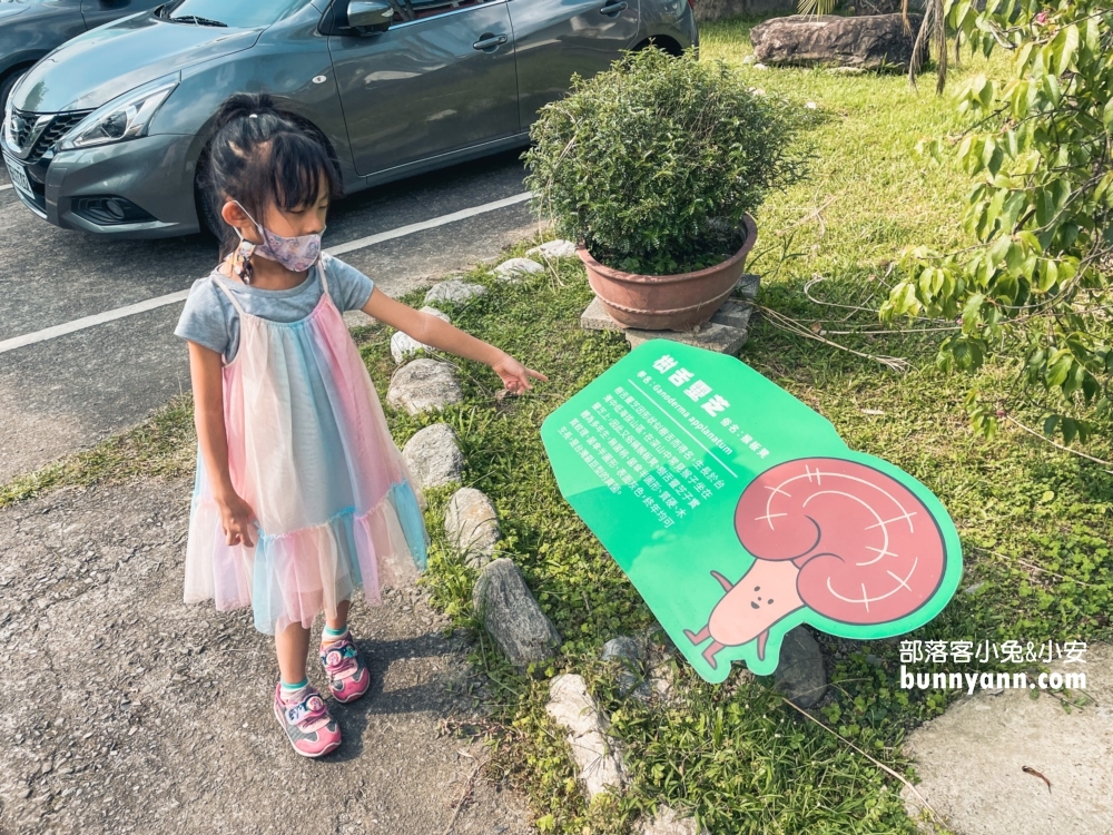 豐年農場｜南投埔里免門票來採香菇回家吃真好玩