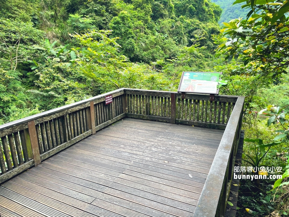 新寮瀑布步道｜森林景色環境介紹，第一層瀑布攻略我教你