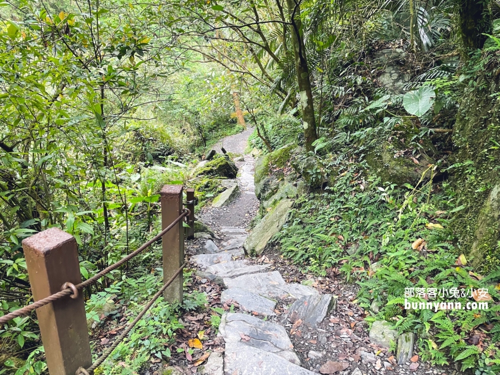 宜蘭【新寮瀑布步道】森林景色環境介紹，第一層瀑布攻略我教你