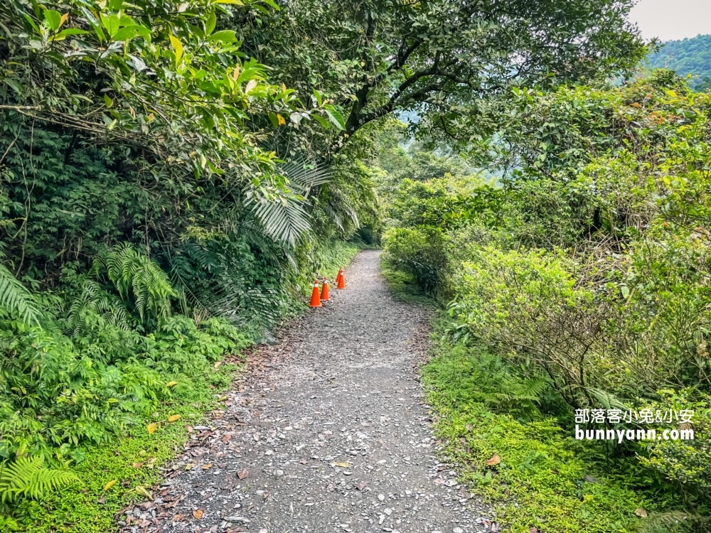 宜蘭【新寮瀑布步道】森林景色環境介紹，第一層瀑布攻略我教你