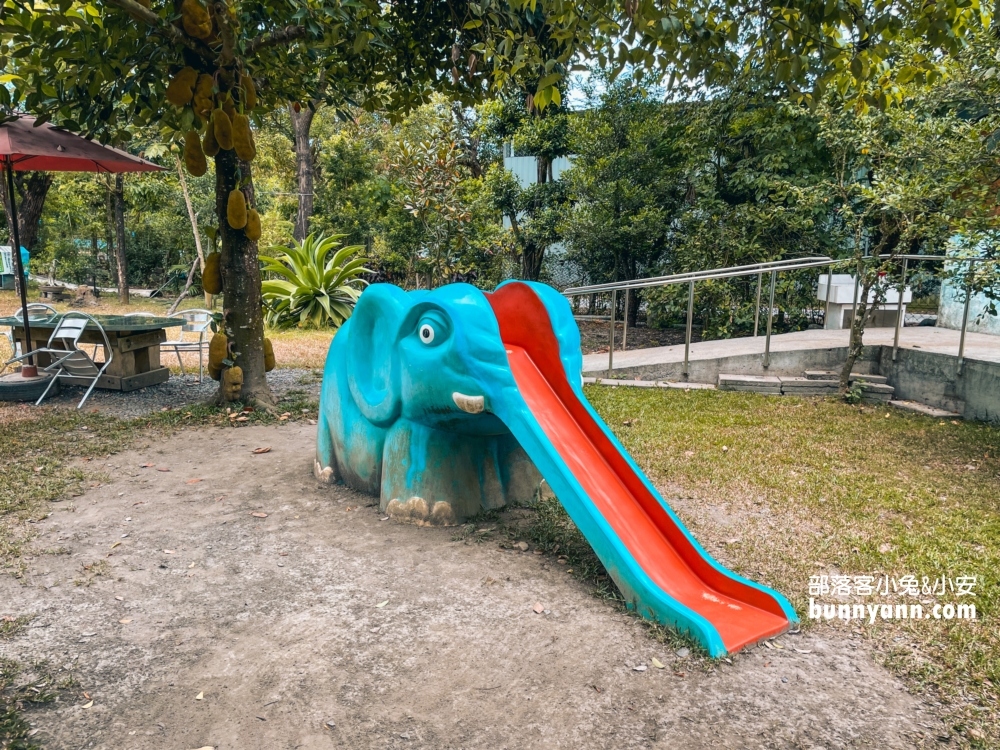 屏東囍羊羊牧場，免門票來餵羊吃草，好喝的羊乳在這