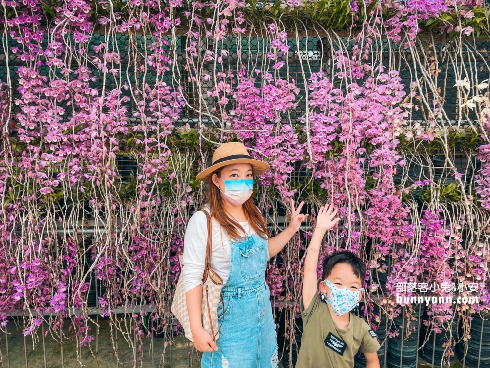 雲林忠雲宮全台最美石斛蘭，咖啡免付錢喝到飽!!