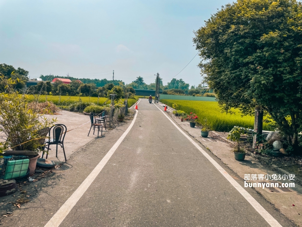 雲林忠雲宮全台最美石斛蘭，咖啡免付錢喝到飽!!