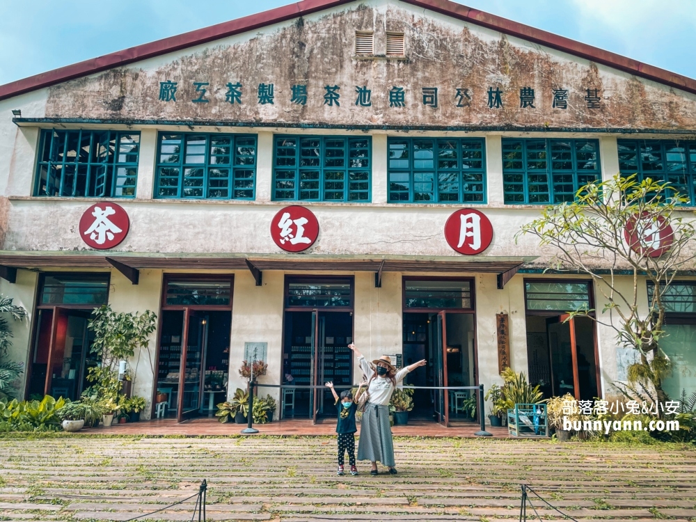 全台十間「景觀茶園」與「觀光茶廠」推薦，尋找茶金歲月風華