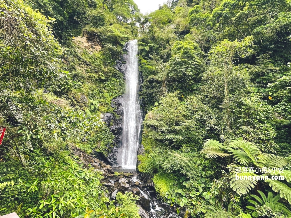 宜蘭私房景點舊寮瀑布，來回一小時的中山步道賞瀑行程