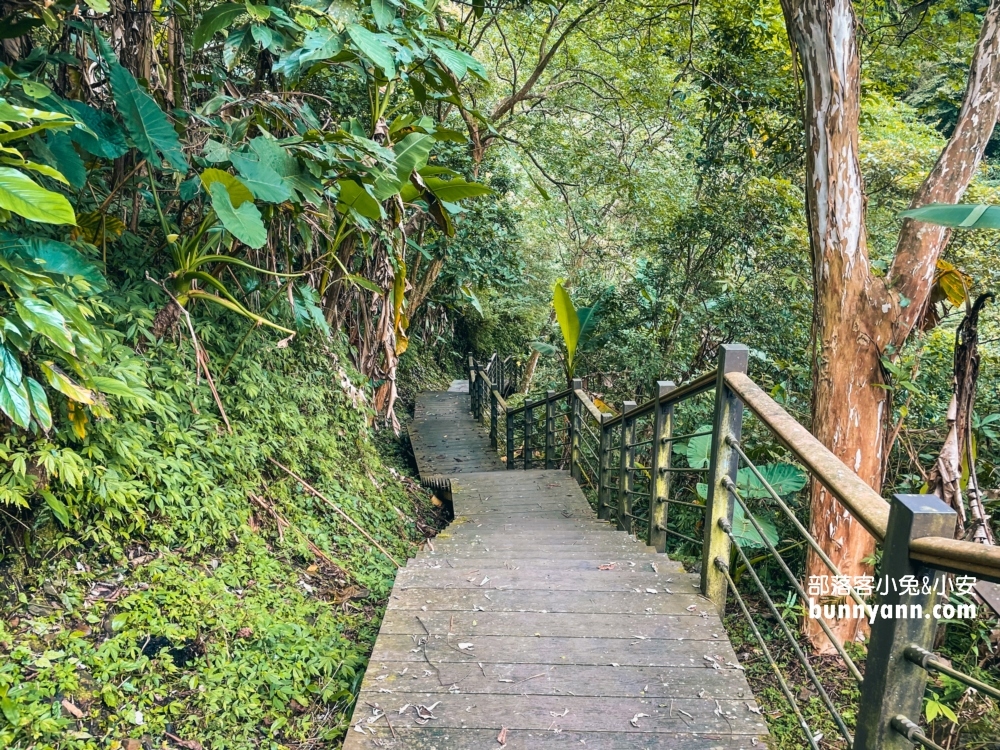 宜蘭私房景點舊寮瀑布，來回一小時的中山步道賞瀑行程