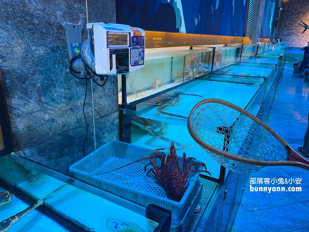 雲林古坑八斗子海鮮餐廳，在水族館裡吃海鮮料理