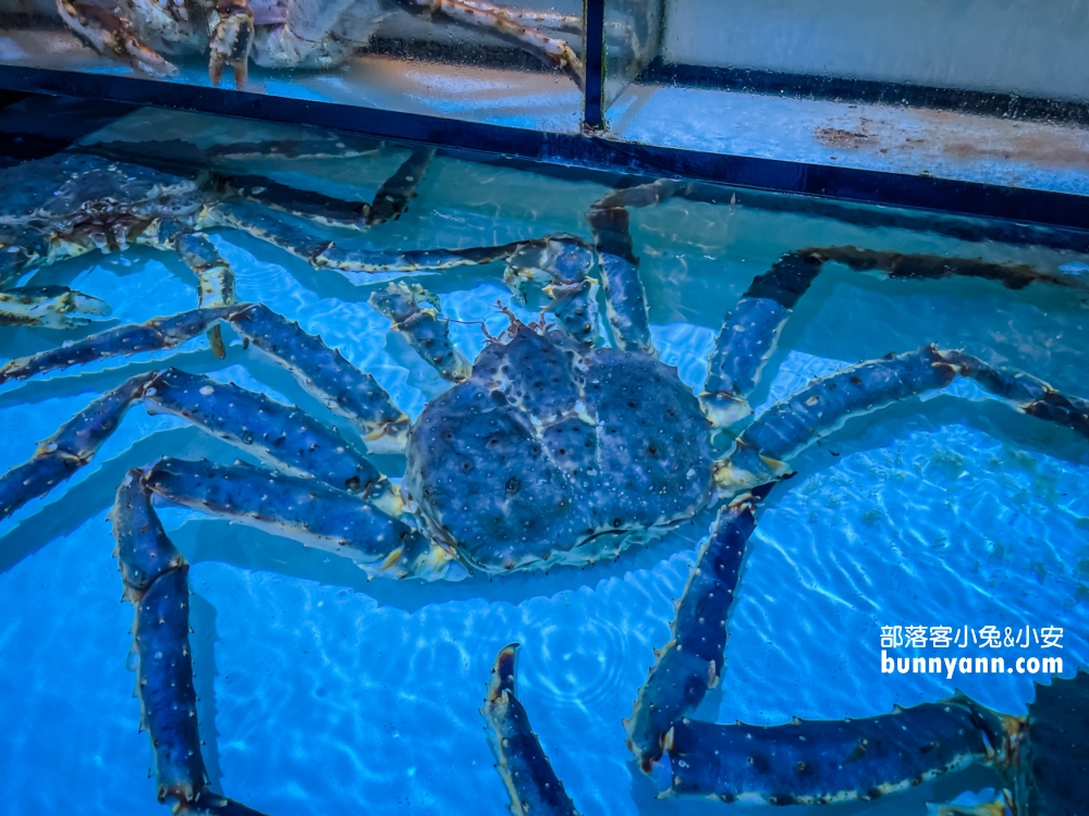 雲林古坑八斗子海鮮餐廳，在水族館裡吃海鮮料理