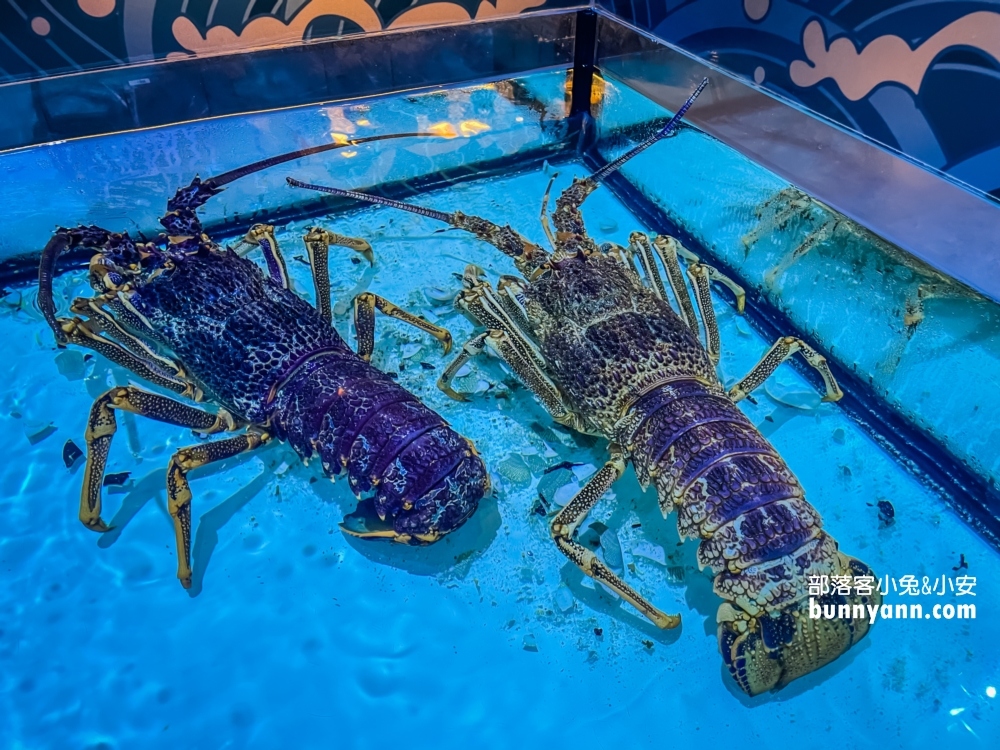 雲林古坑八斗子海鮮餐廳，在水族館裡吃海鮮料理