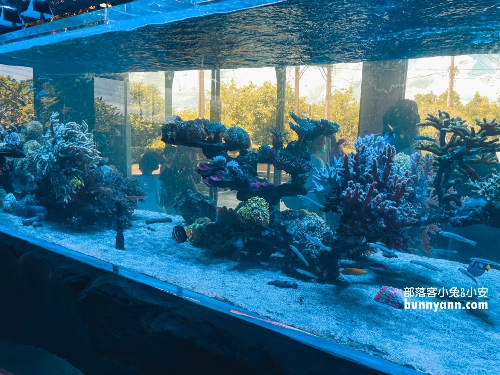 雲林古坑八斗子海鮮餐廳，在水族館裡吃海鮮料理