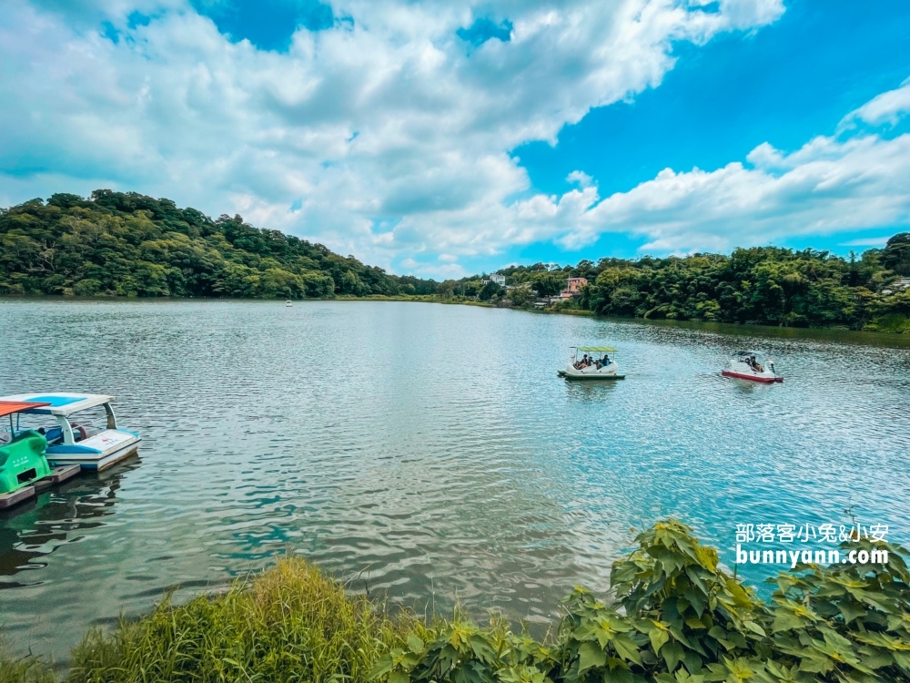 苗栗三義映象水岸私房咖啡店，欣賞唯美湖景還可以搭天鵝船遊湖