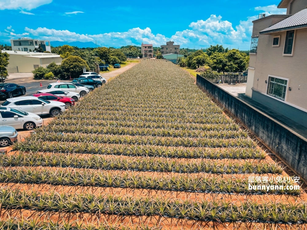 嘉義旺萊山文化園區介紹，推薦來民雄吃免費鳳梨酥吧