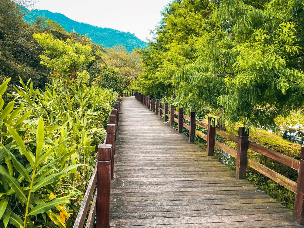 花蓮餐廳》馬太鞍欣綠農園，隱藏在濕地生態園區裡的土雞大餐。