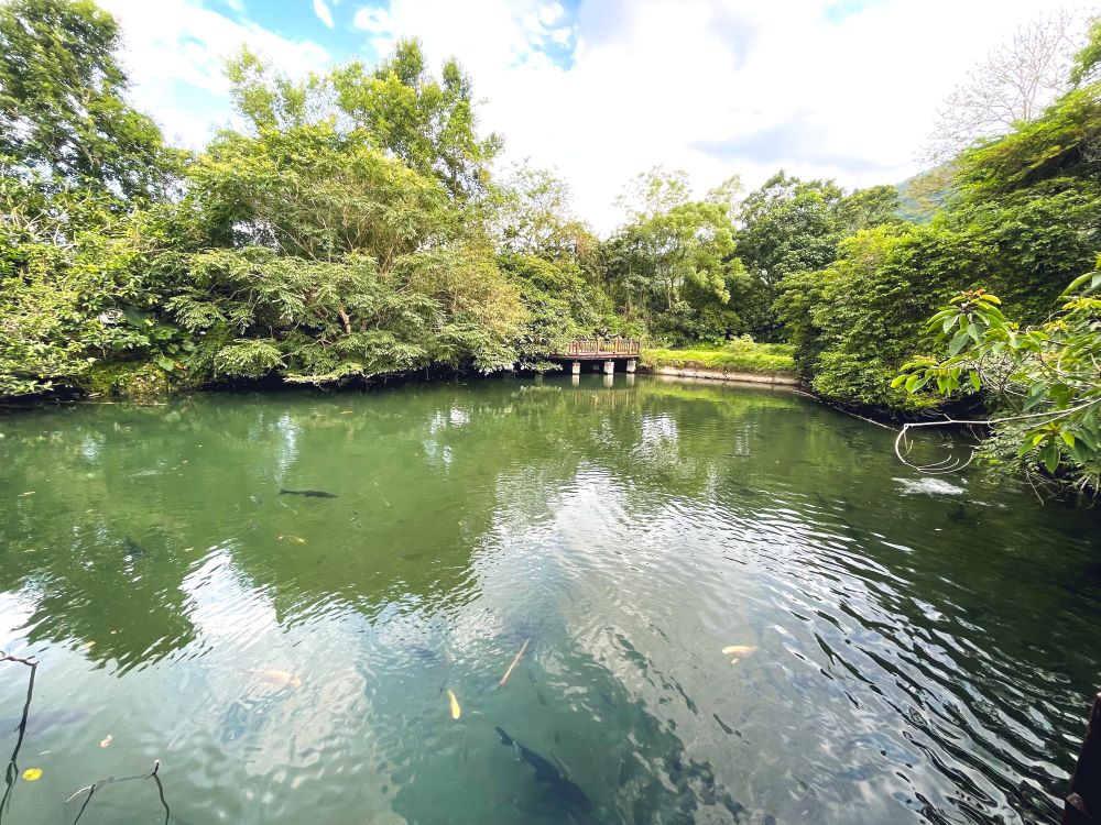 花蓮餐廳》馬太鞍欣綠農園，隱藏在濕地生態園區裡的土雞大餐。