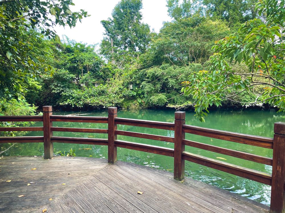 花蓮餐廳》馬太鞍欣綠農園，隱藏在濕地生態園區裡的土雞大餐。