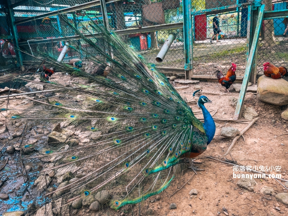 桃園景點》老貝殼休閒農場，到底好不好玩告訴你(2023資訊)