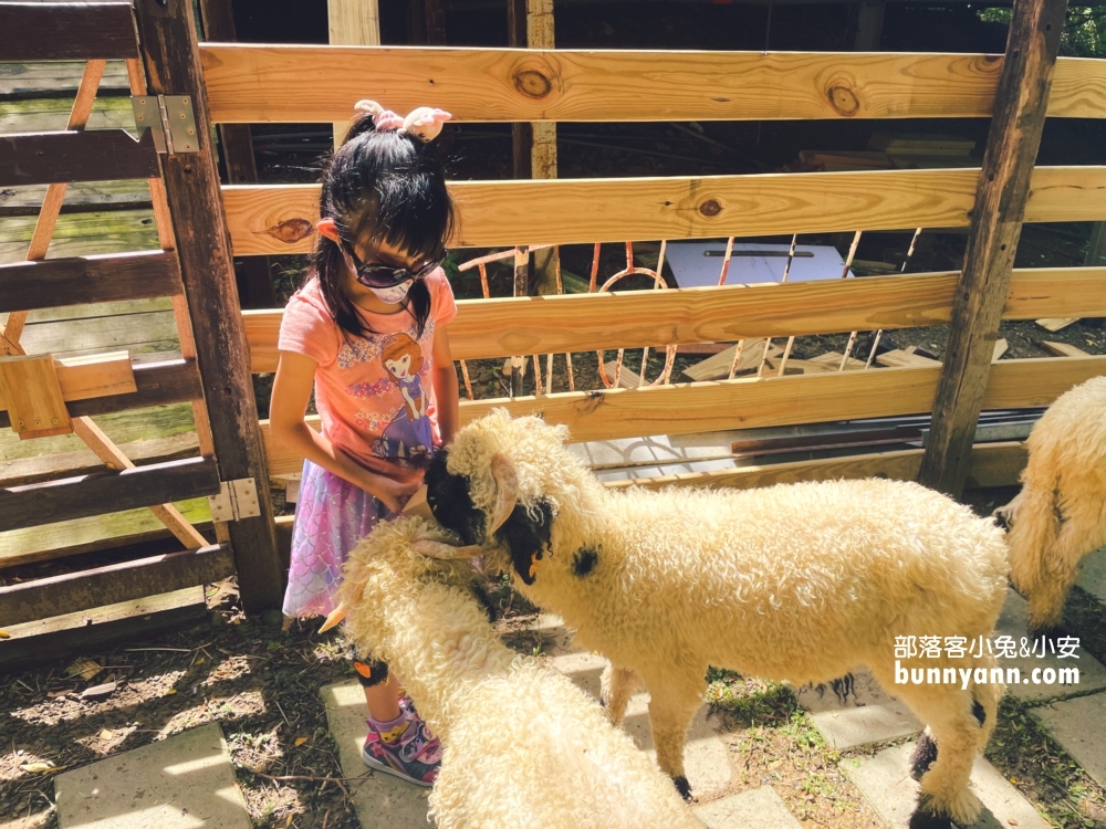 苗栗哈比丘莊園，可愛笑笑羊和水豚君出沒，美拍天空鞦韆與哈比屋