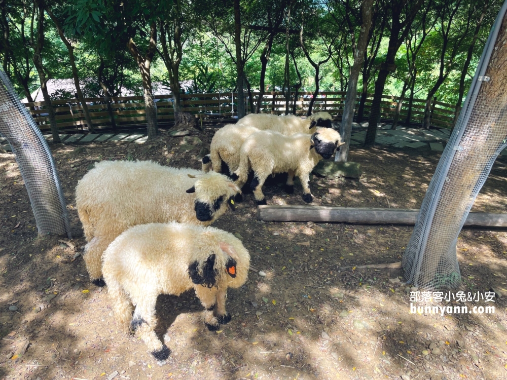 苗栗哈比丘莊園，可愛笑笑羊和水豚君出沒，美拍天空鞦韆與哈比屋