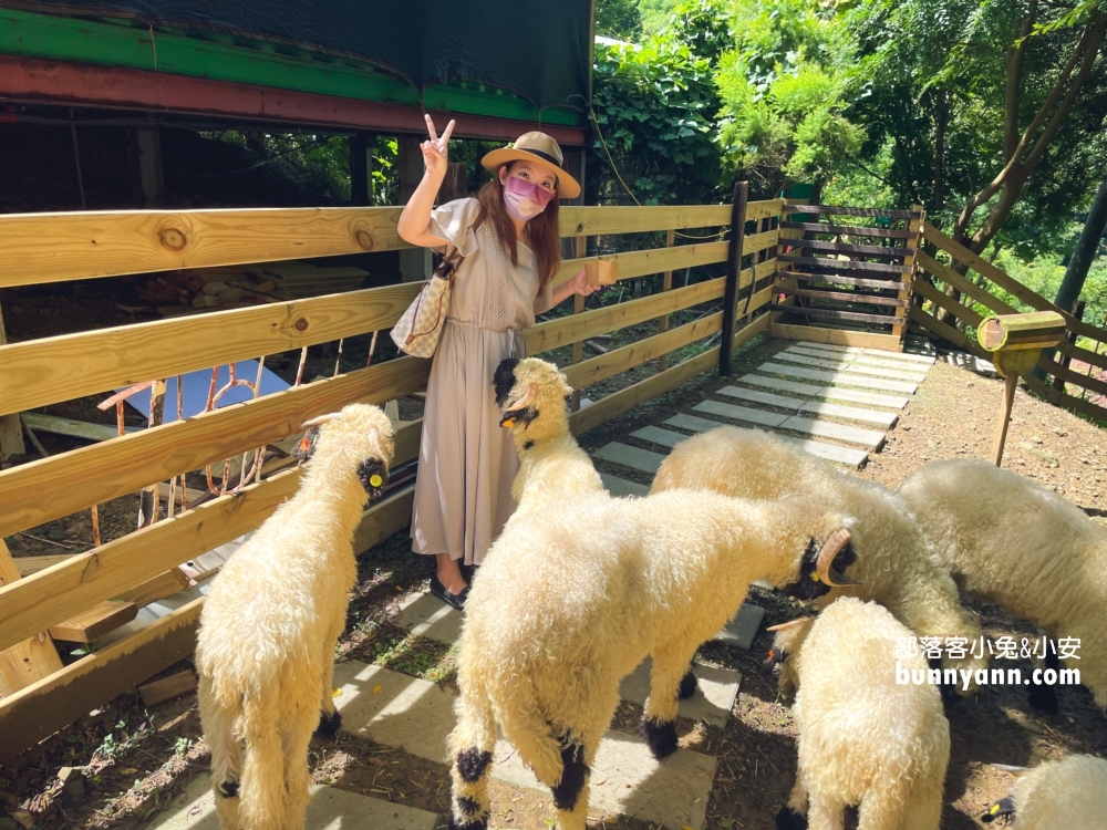 苗栗哈比丘莊園，可愛笑笑羊和水豚君出沒，美拍天空鞦韆與哈比屋