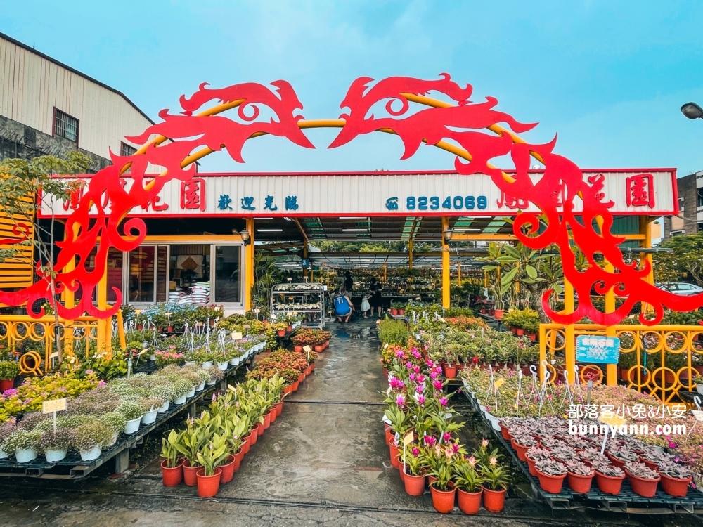 田尾鳳凰花園｜走進花市叢林裡玩戶外溜滑梯，充滿綠意庭院超好拍