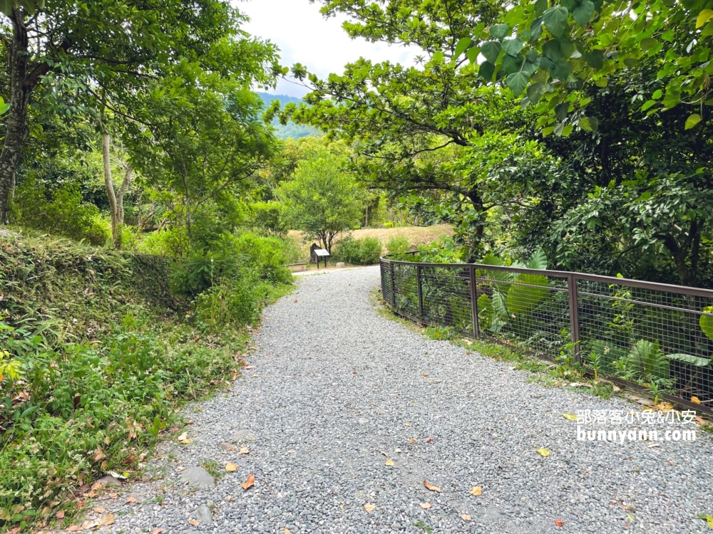 台東超好玩【知本國家森林遊樂區】門票優惠與走多久參考指南