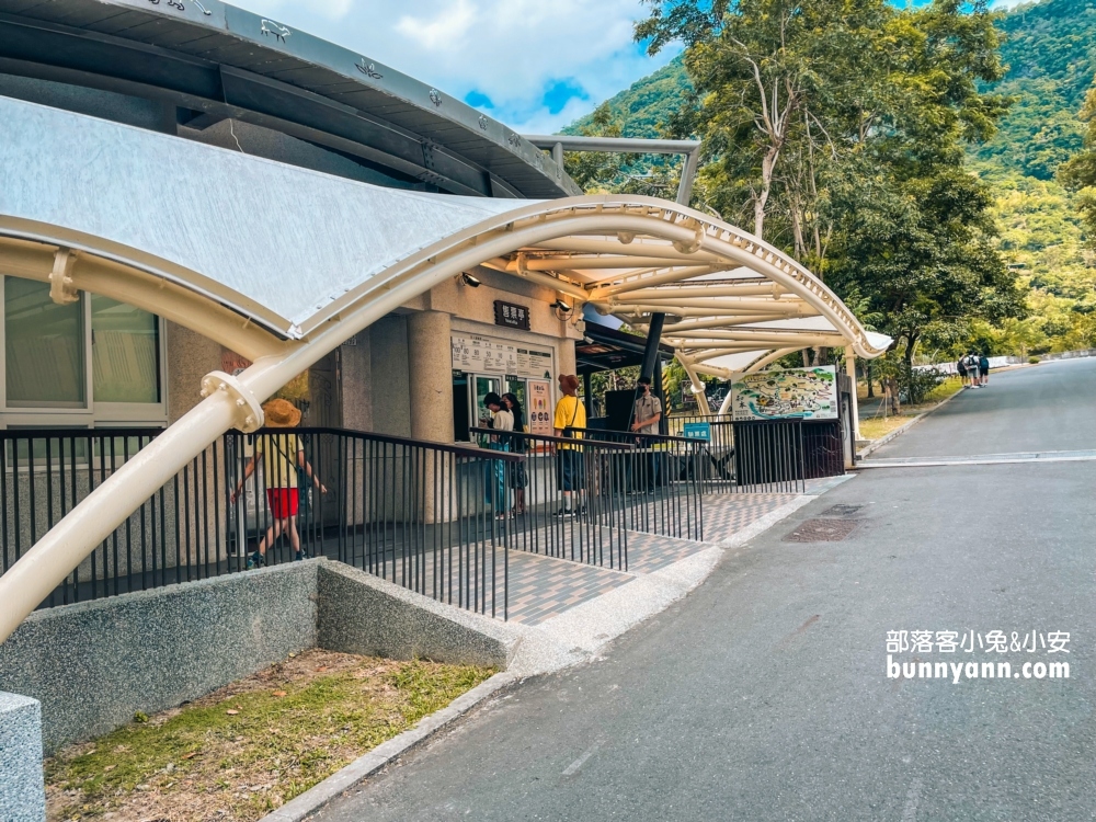 台東超好玩【知本國家森林遊樂區】門票優惠與走多久參考指南