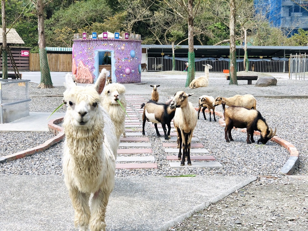 宜蘭【長埤湖精靈村】穿和服餵小動物，漫遊湖濱步道好悠閒