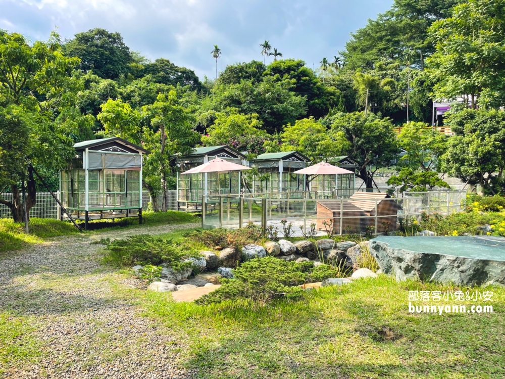 大溪蘇家莊園｜美拍萬坪莊園與十多種鳥類動物(門票資訊)