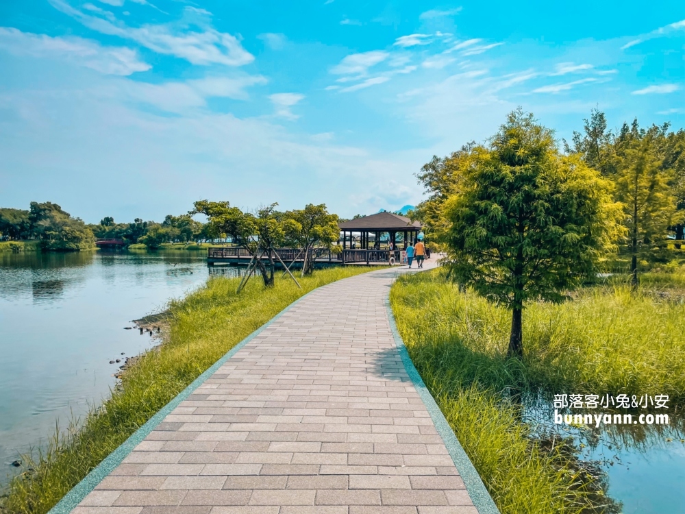 桃園【三坑自然生態公園】龍潭私房湖景步道，可以玩水的秘境推薦