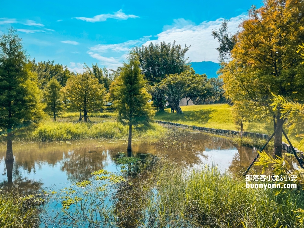 桃園【三坑自然生態公園】龍潭私房湖景步道，可以玩水的秘境推薦