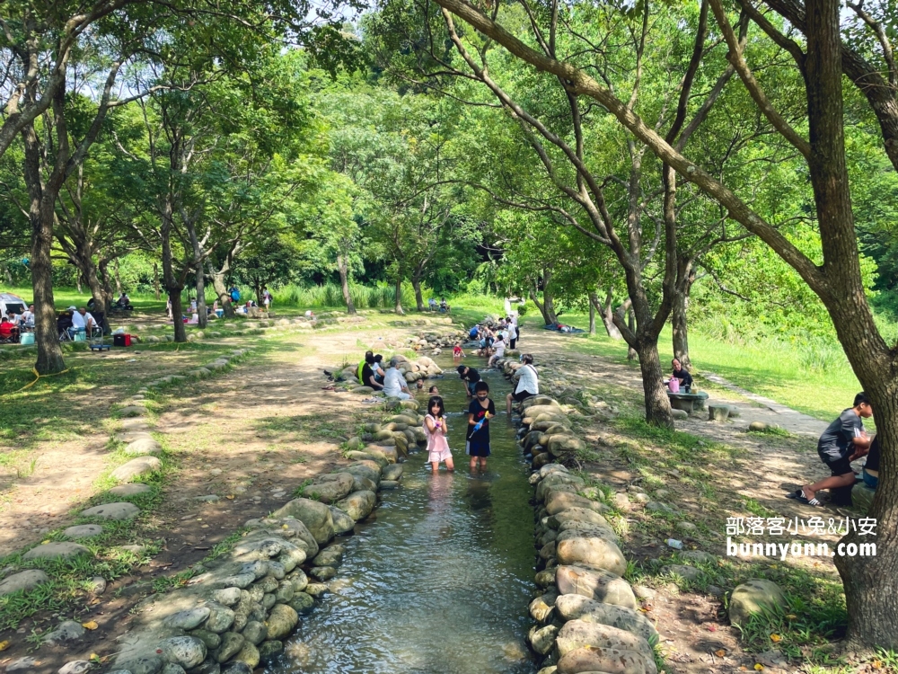 桃園【三坑自然生態公園】龍潭私房湖景步道，可以玩水的秘境推薦