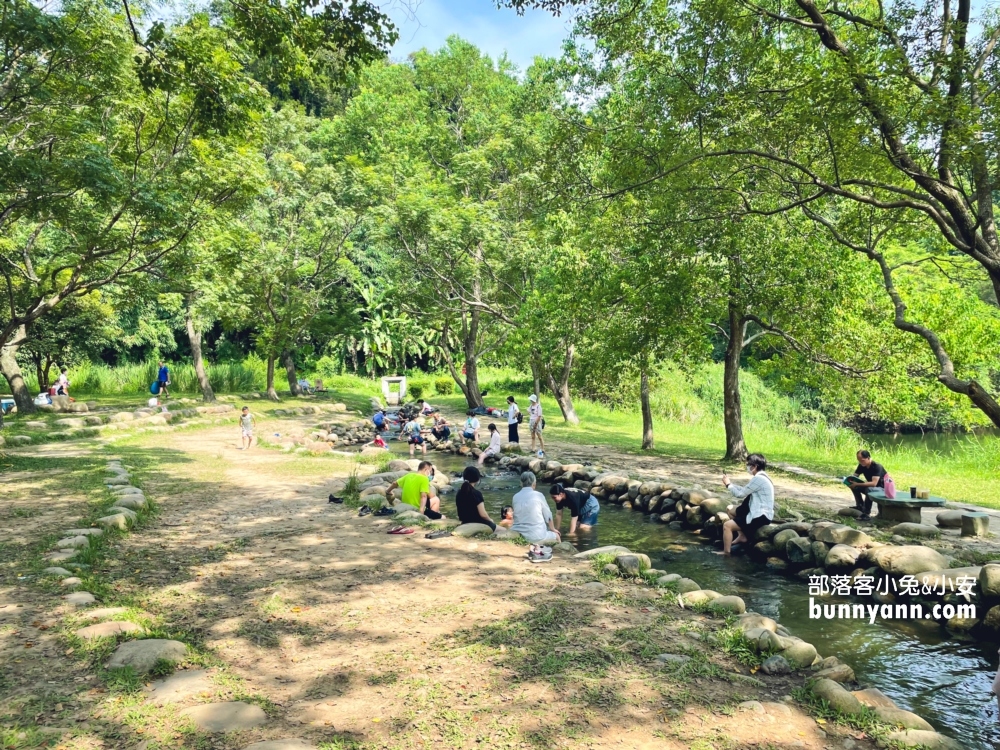 桃園【三坑自然生態公園】龍潭私房湖景步道，可以玩水的秘境推薦