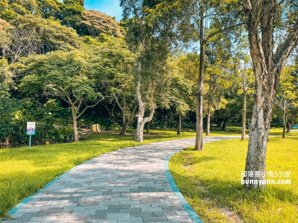 桃園【三坑自然生態公園】龍潭私房湖景步道，可以玩水的秘境推薦