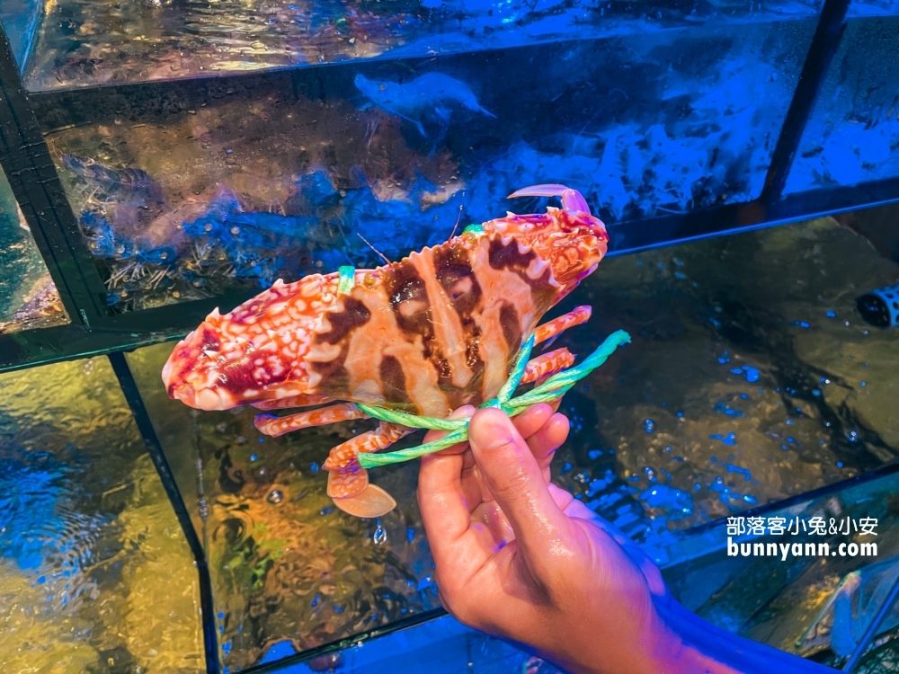 大益發活海鮮餐廳，萬里平價超猛海產餐廳，google評論接近滿分