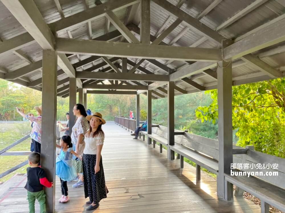 【台東戶外景點】台東森林公園，走進森林賞琵琶湖，騎單車漫遊好地方