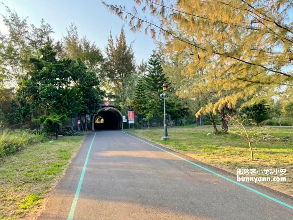 2024【台東森林公園】走進森林賞琵琶湖，騎單車漫遊好地方