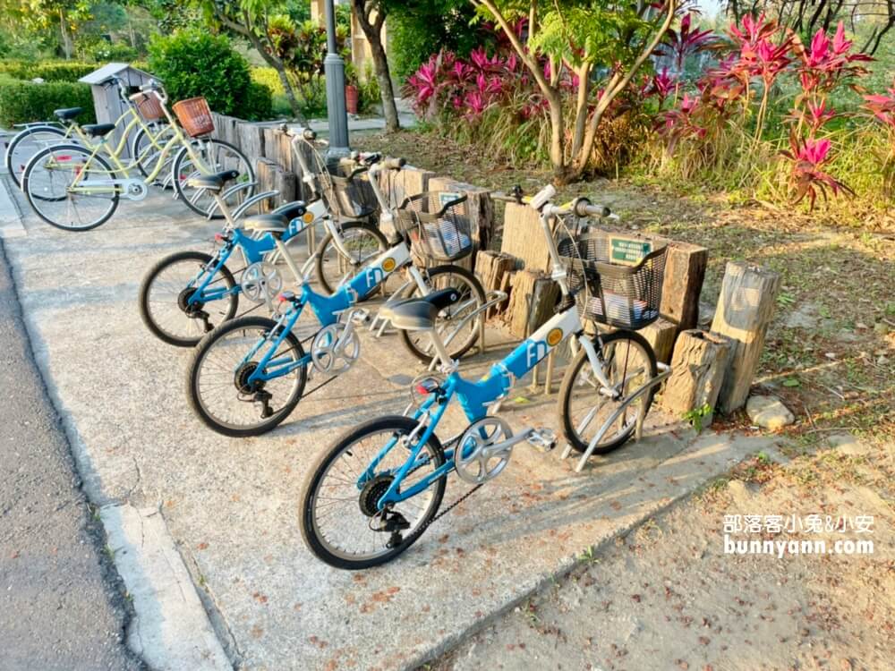 【台東戶外景點】台東森林公園，走進森林賞琵琶湖，騎單車漫遊好地方