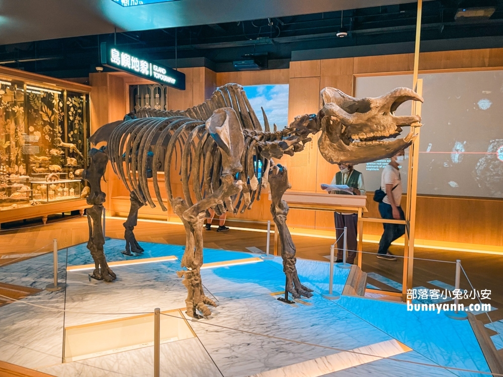 臺灣博物館》土銀展示館，神秘金庫和大恐龍化石隨你拍。