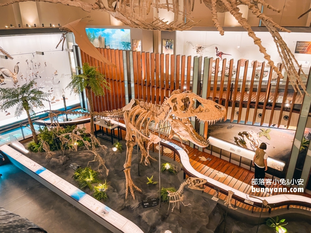 臺灣博物館》土銀展示館，神秘金庫和大恐龍化石隨你拍。