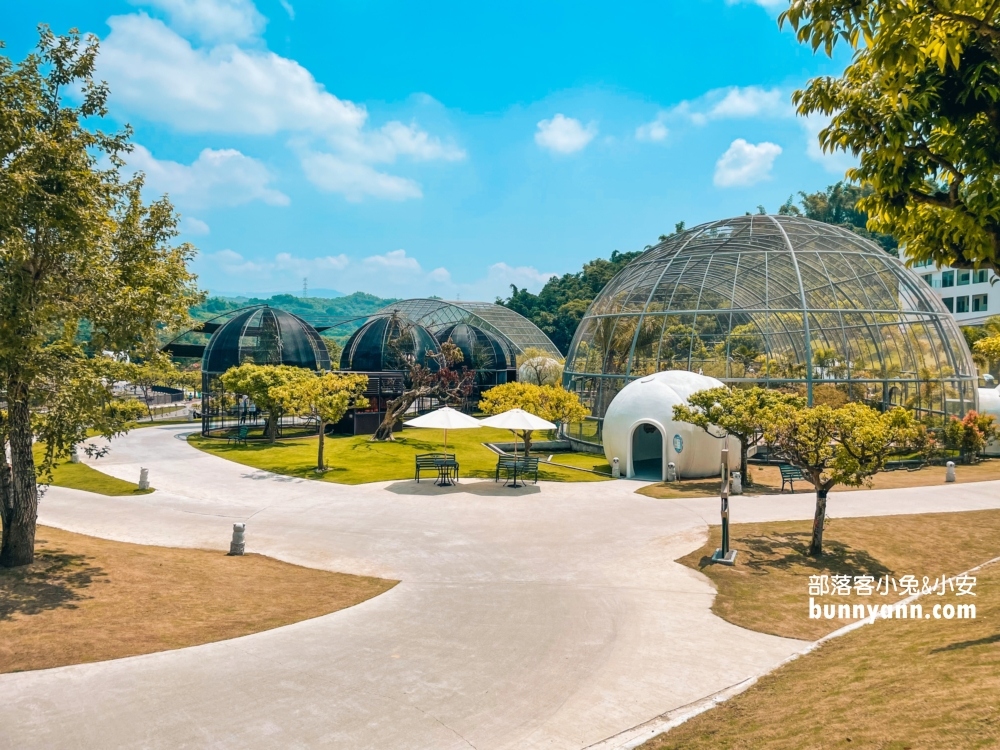 2024【九九峰動物樂園 】南投草屯鳥類主題動物園票價優惠整理