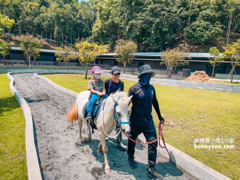 2024【九九峰動物樂園 】南投草屯鳥類主題動物園票價優惠整理