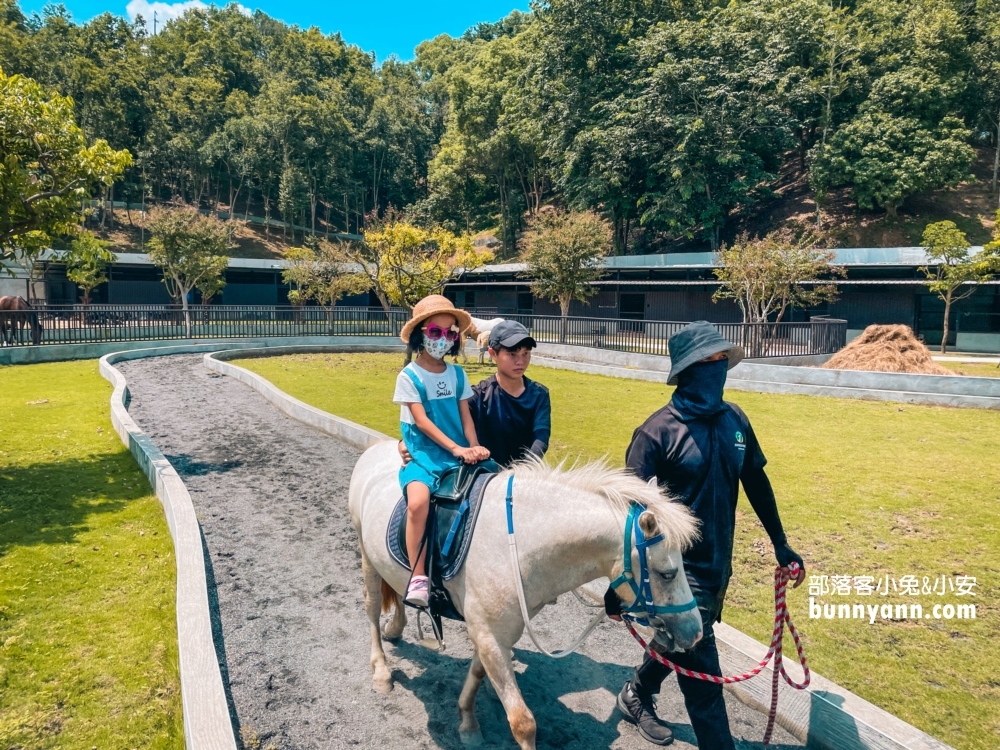 2024【九九峰動物樂園 】南投草屯鳥類主題動物園票價優惠整理