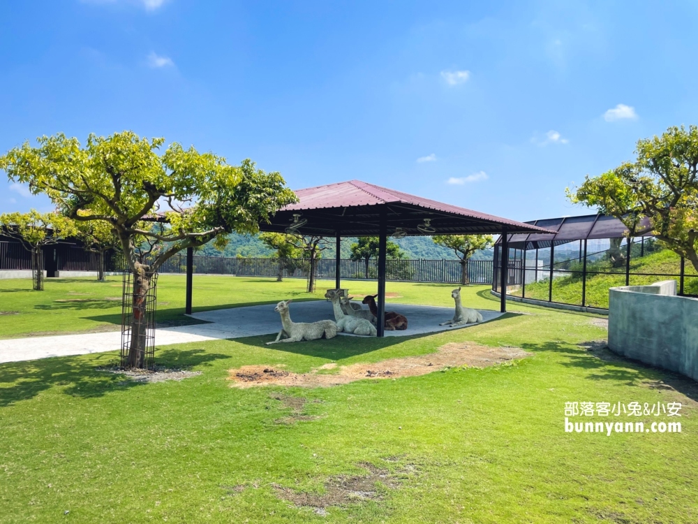 2024【九九峰動物樂園 】南投草屯鳥類主題動物園票價優惠整理