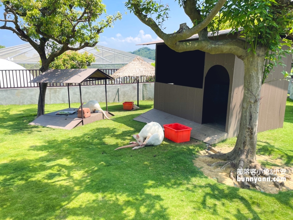 中寮景點順遊九九峰動物園